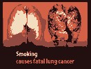 <a href='http://heartcamtexptrouv.narod.ru/Elektronnye-sigarety-v-Maikop-975.html'>Электронные сигареты в Майкоп</a>