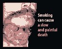 <a href='http://heartcamtexptrouv.narod.ru/Kupit-elektronnye-sigarety-optom-Kolomna--324.html'>Купить электронные сигареты оптом Коломна </a>