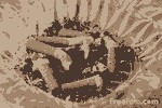 <a href='http://heartcamtexptrouv.narod.ru/Kartridzhi-dlya-elektronnyh-sigaret-Nizhnii-Novgorod--923.html'>Картриджи для электронных сигарет Нижний Новгород </a>